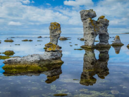 Kyst ved Gamla Hamn på Fårö