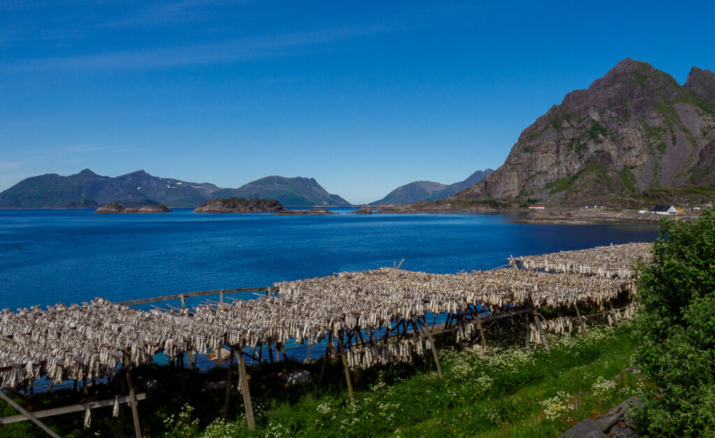 Henningsvær, Lofoten juni 2020