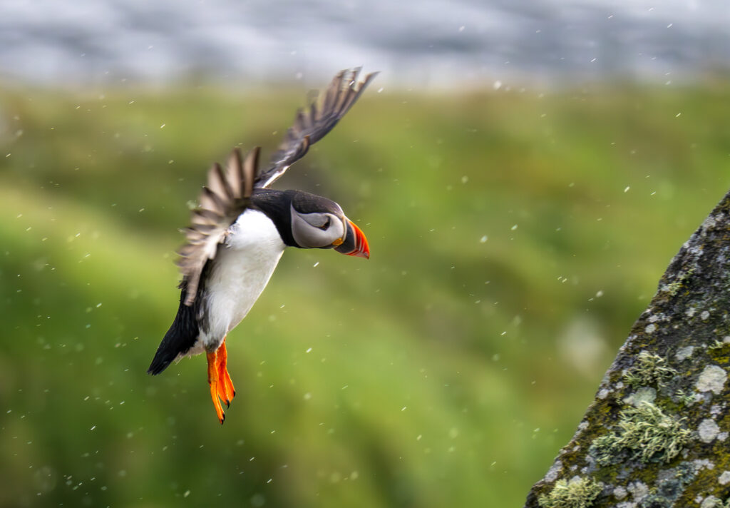 Lunde. Runde den 17. juni 2024