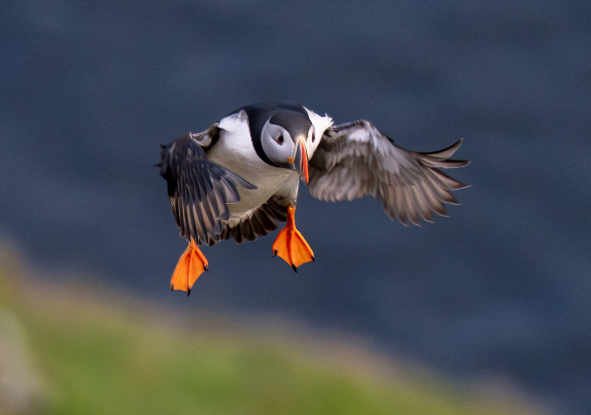 Lunde. Runde den 17. juni 2024