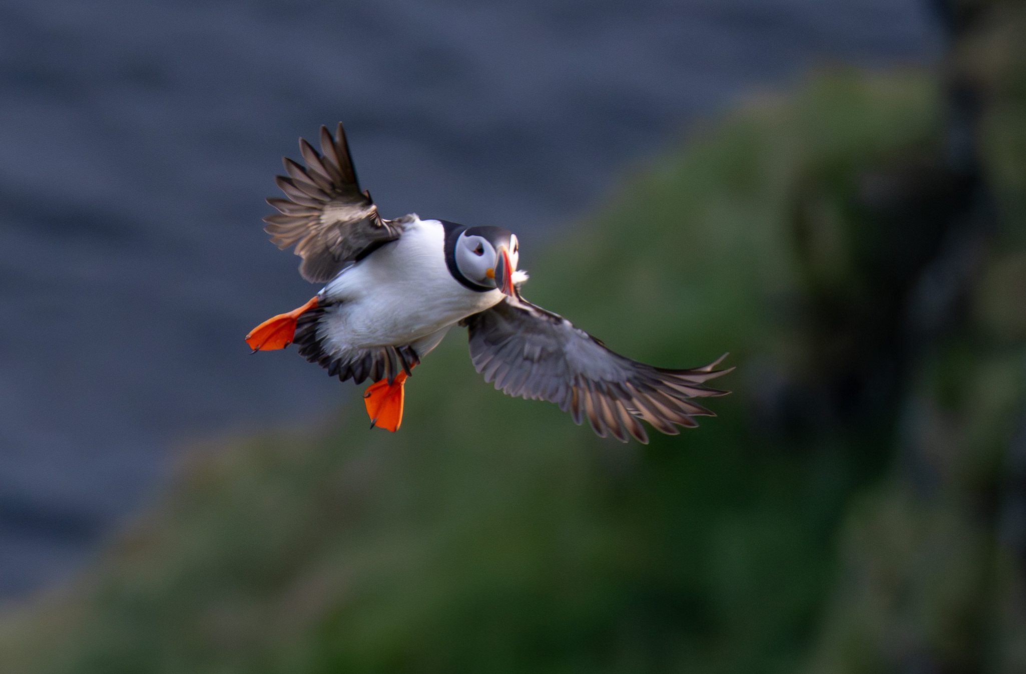 Lunde. Runde den 17. juni 2024