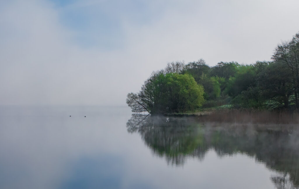 Hald Sø - maj 2008