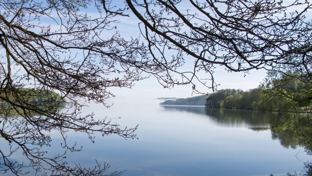 Hald Sø - maj 2008