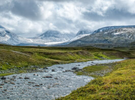 Sarek - juli 2010
