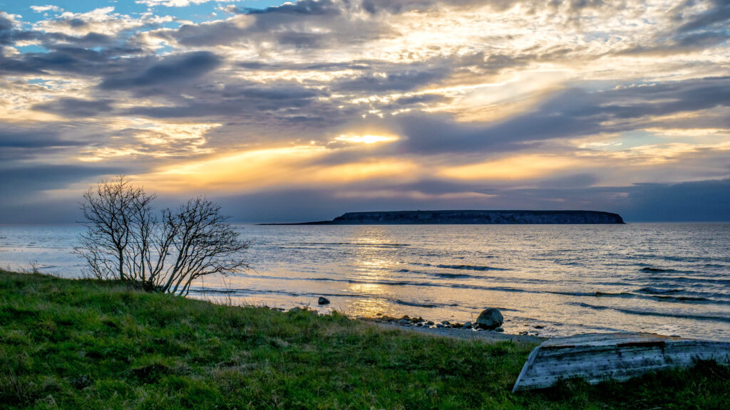 Ektakusten, Gotland maj 2017