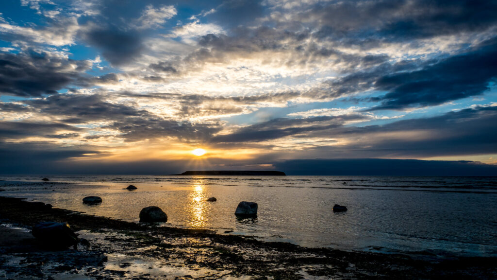 Ektakusten, Gotland maj 2017