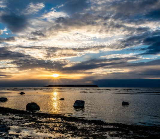 Ektakusten, Gotland maj 2017