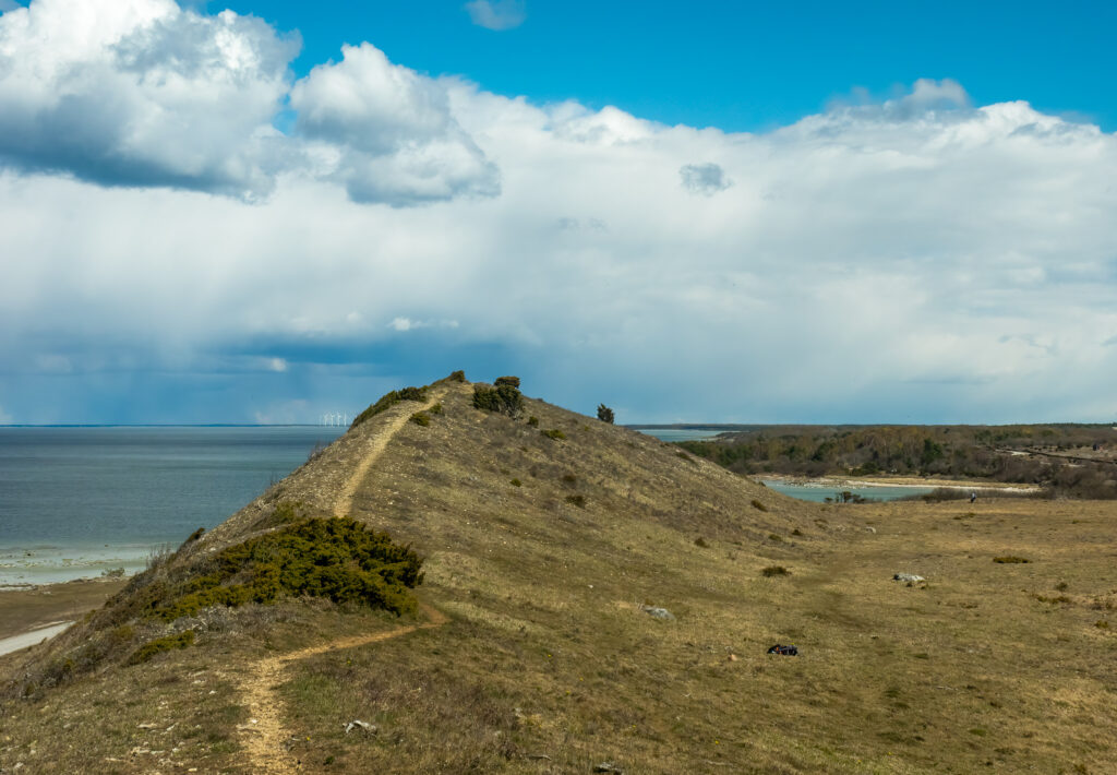 Landskab hvor Våradonis vokser på det sydligste - Gotland.